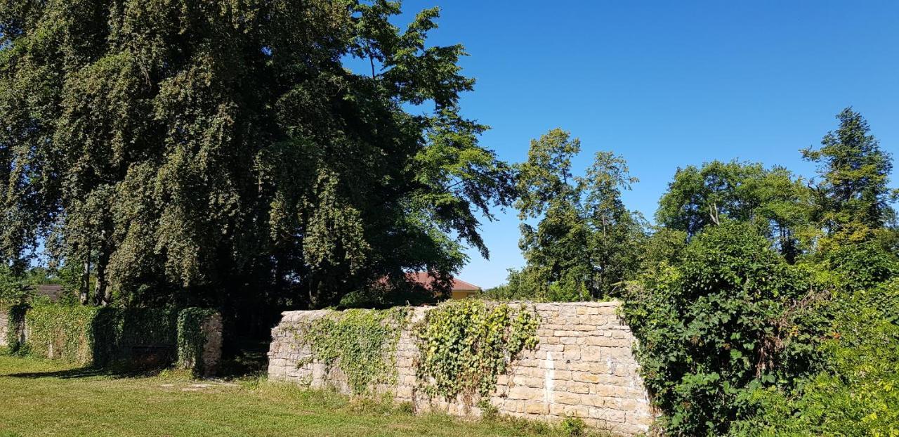 Le 49 Cote Parc & Spa Domblans Екстер'єр фото